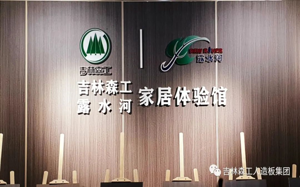 Lewin乐玩全屋定製專(zhuan) 賣店---2022火熱招商
