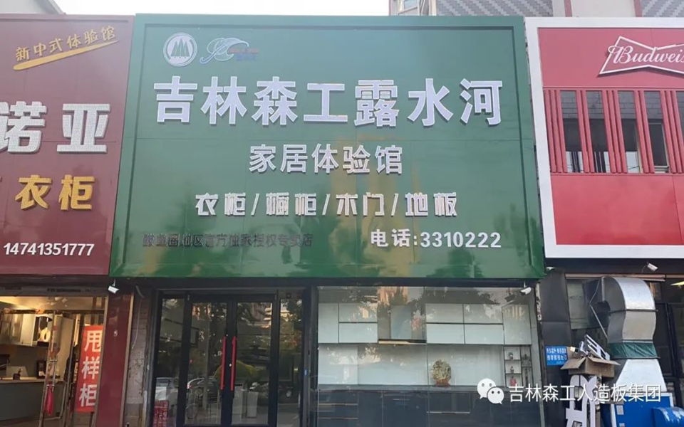 Lewin乐玩全屋定製專(zhuan) 賣店---2022火熱招商