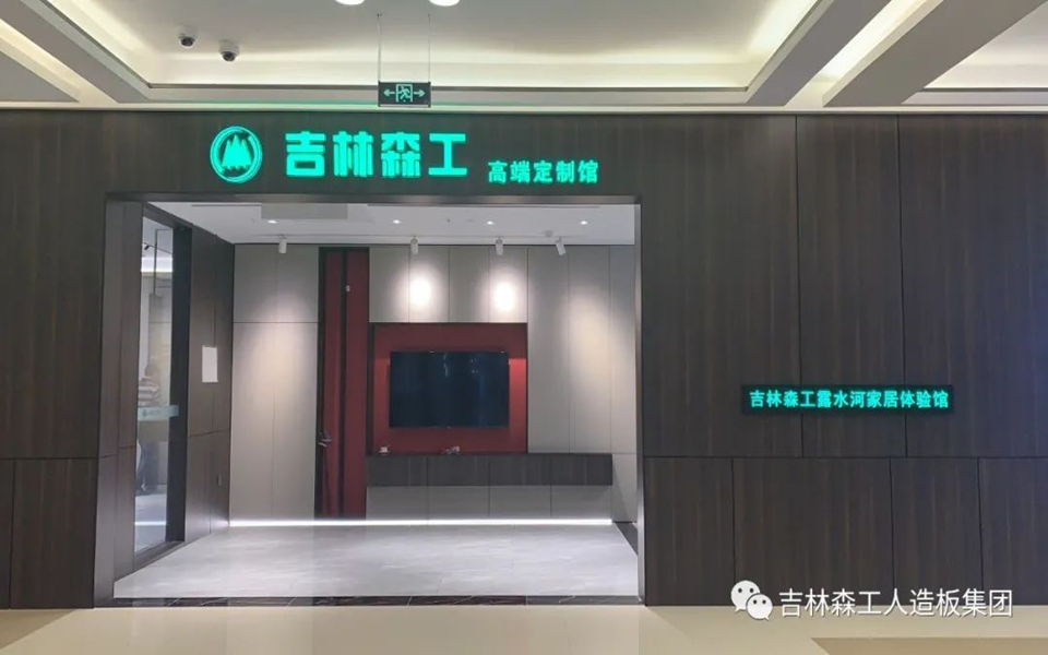Lewin乐玩全屋定製專(zhuan) 賣店---2022火熱招商