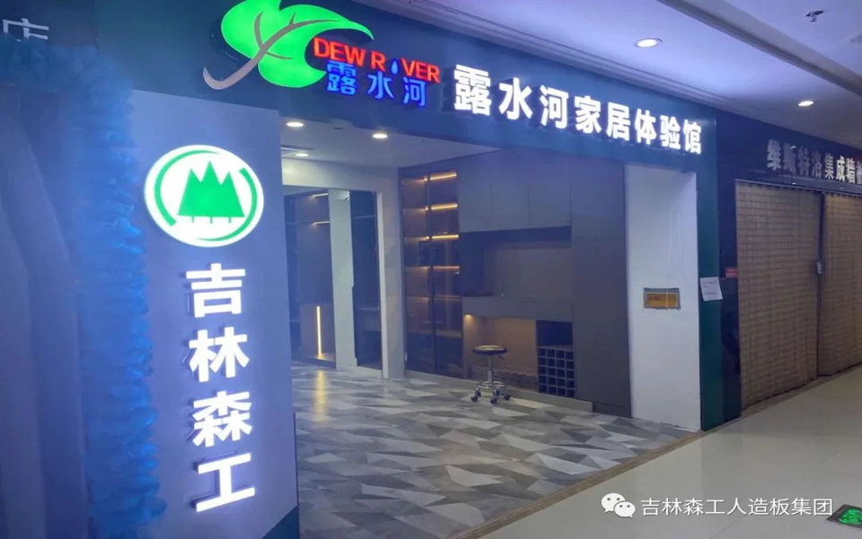 Lewin乐玩全屋定製專(zhuan) 賣店---2022火熱招商