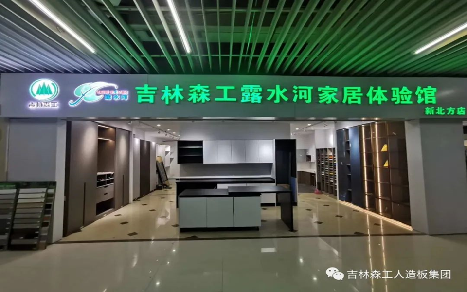 Lewin乐玩全屋定製專(zhuan) 賣店---2022火熱招商
