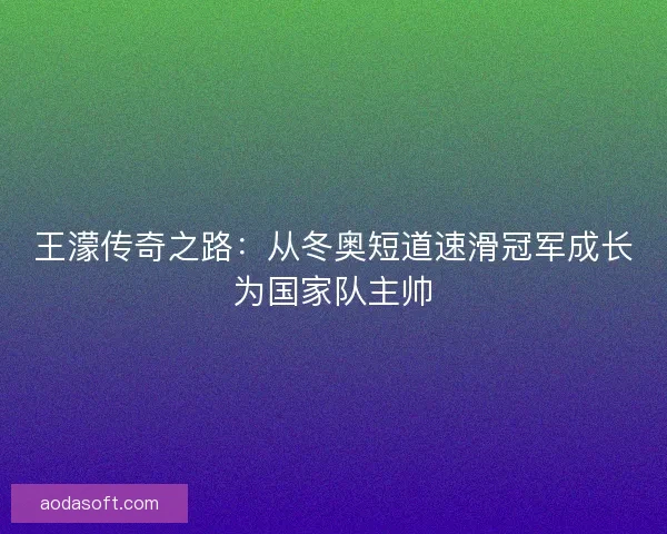 王濛传奇之路：从冬奥短道速滑冠军成长为国家队主帅