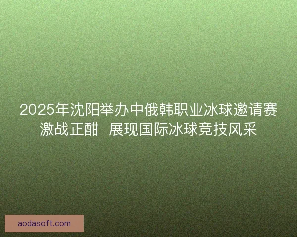 2025年沈阳举办中俄韩职业冰球邀请赛激战正酣  展现国际冰球竞技风采