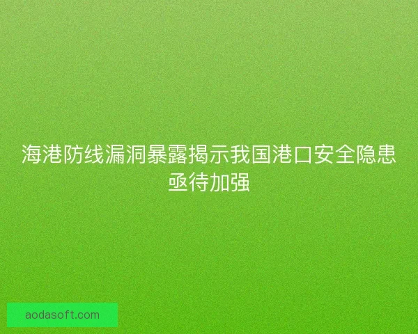 海港防线漏洞暴露揭示我国港口安全隐患亟待加强